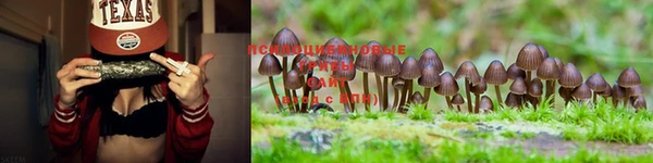 MDMA Алзамай
